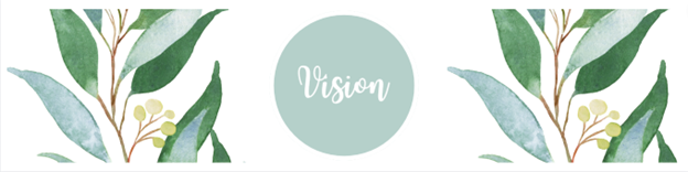 vision